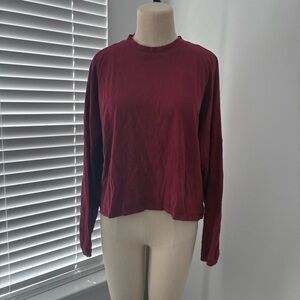 Aerie Women's Maroon Cozy Long Sleeve Mock Neck Top